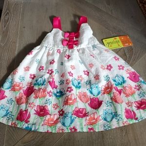 Baby Girl Spring/summer Dress NWT